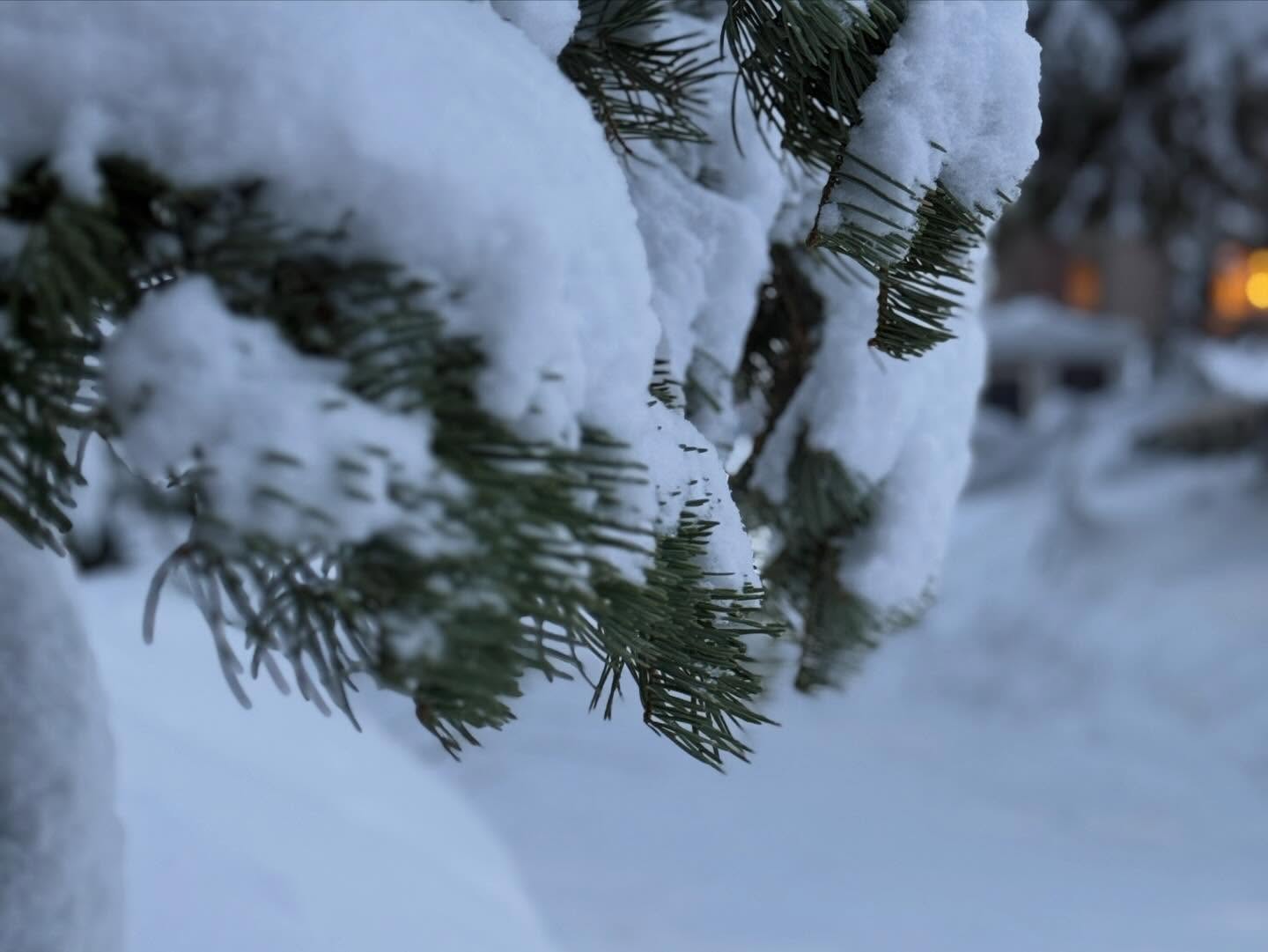 Snow 17